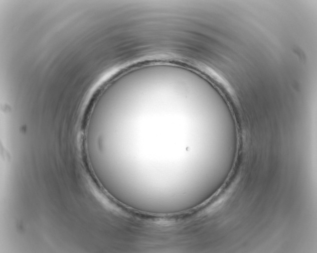 X0000091241029200708091127