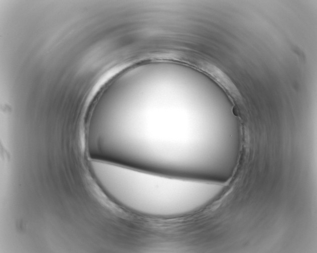 X0000091241036200708091127