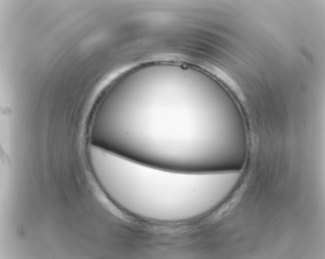 X0000091241037200708091127