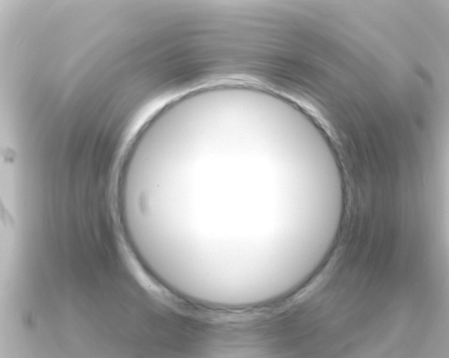 X0000091241038200708091127