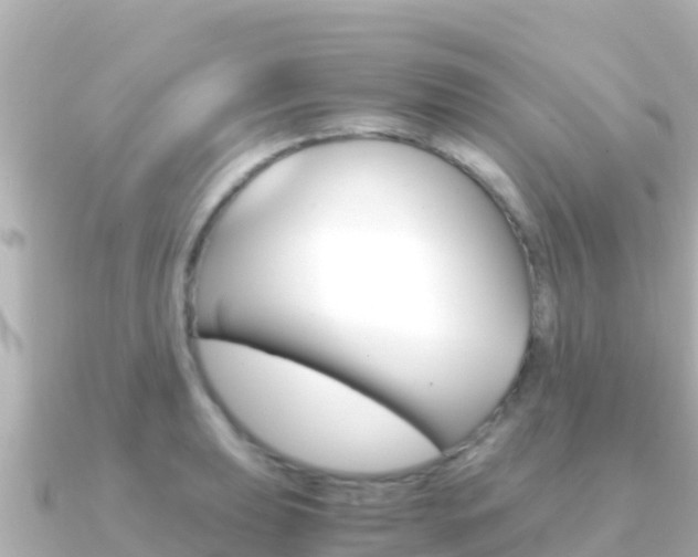 X0000091241039200708091127