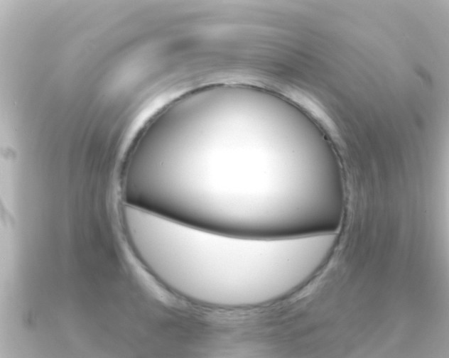 X0000091241040200708091127
