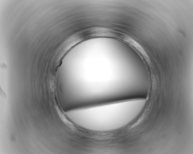 X0000091241049200708091127