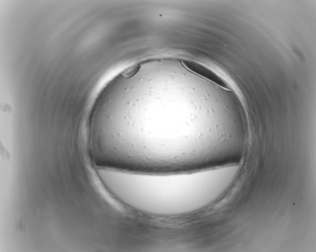 X0000091241053200708091127