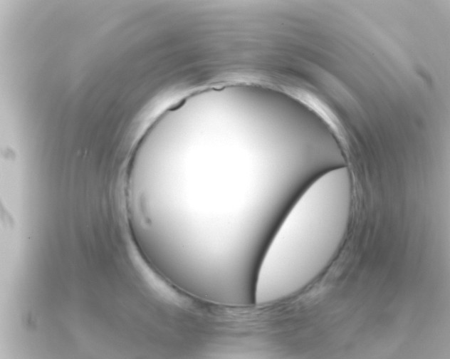 X0000091241055200708091128