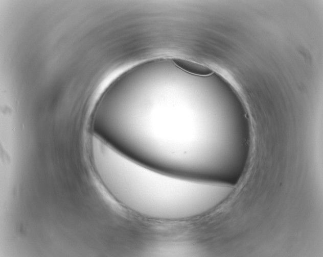 X0000091241056200708091128
