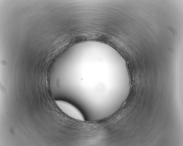 X0000091241058200708091127