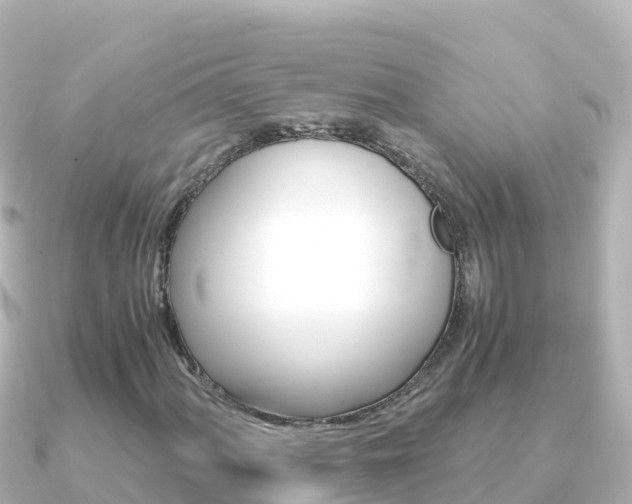 X0000091241060200708091127