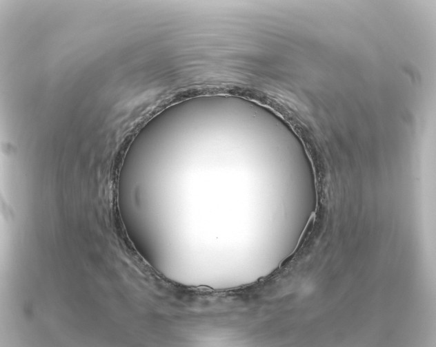 X0000091241061200708091127