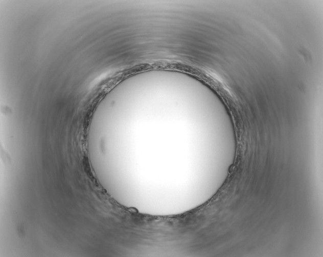 X0000091241063200708091127
