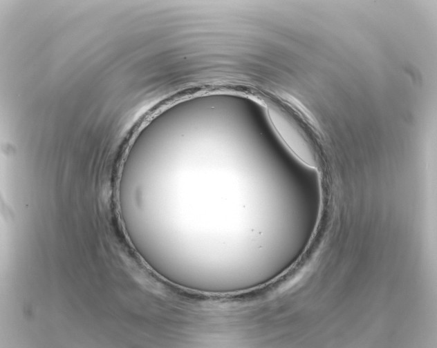 X0000091241065200708091127
