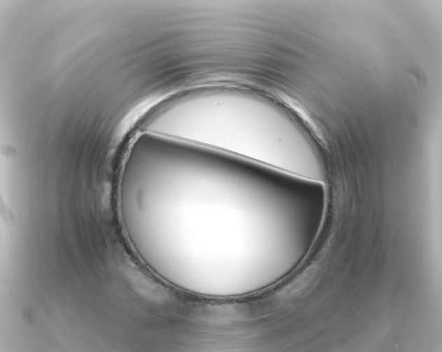 X0000091241066200708091127