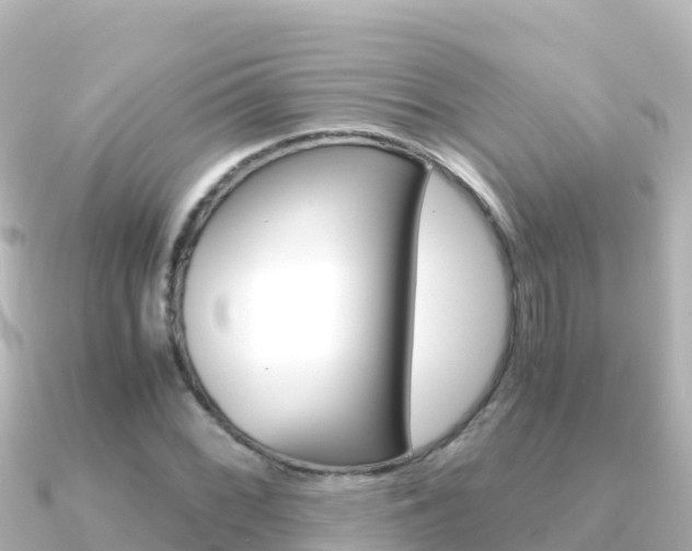 X0000091241068200708091127