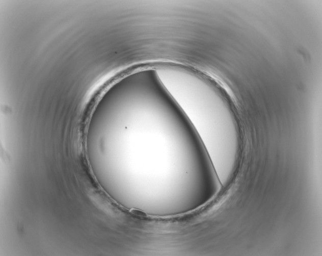 X0000091241069200708091127