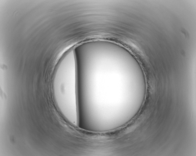 X0000091241073200708091127