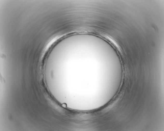 X0000091241075200708091127