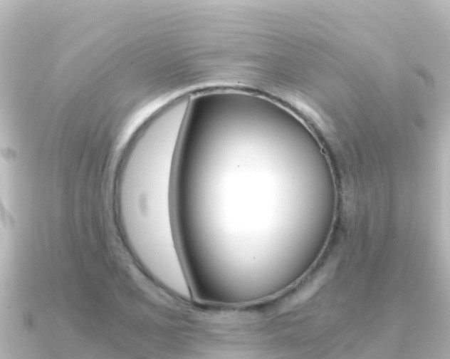 X0000091241077200708091127