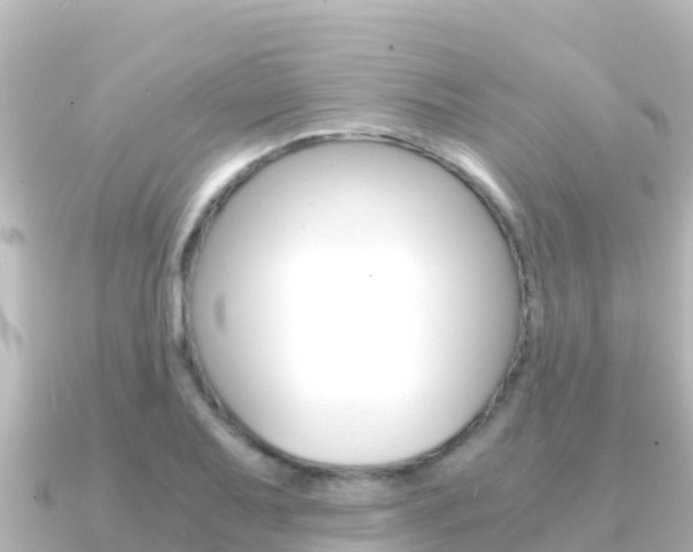 X0000091241079200708091127