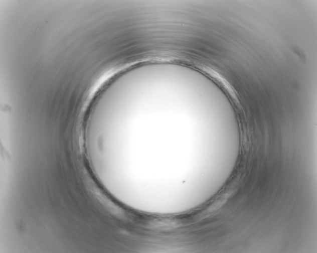 X0000091241083200708091127