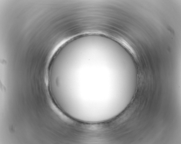 X0000091241084200708091127