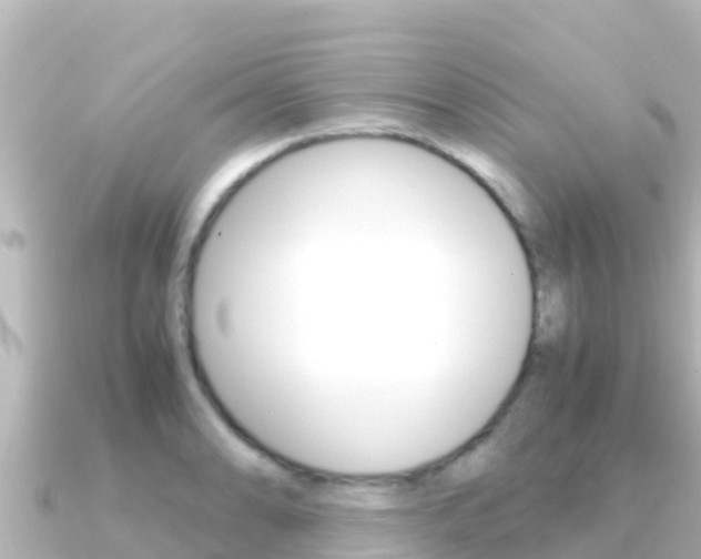 X0000091241086200708091127