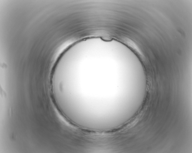 X0000091241087200708091127