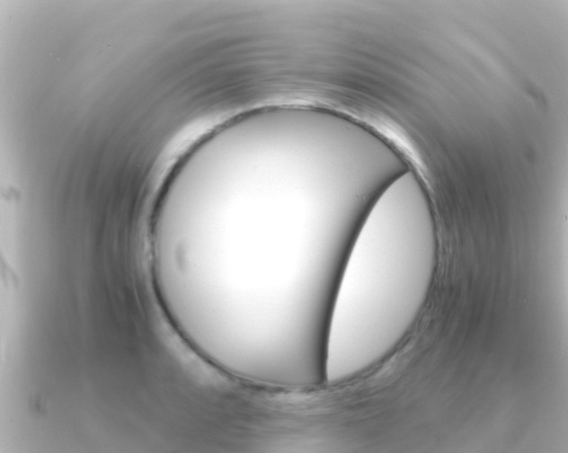 X0000091241088200708091127