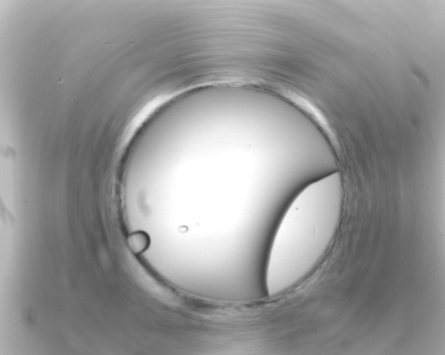 X0000091241091200708091127