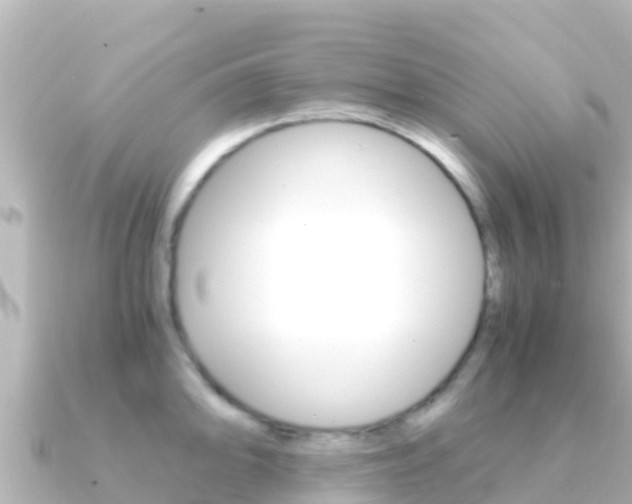 X0000091241094200708091127