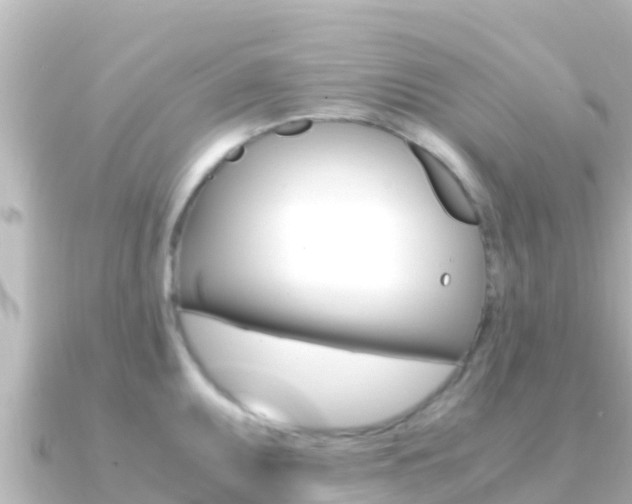 X0000091241095200708091127