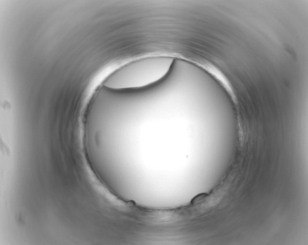 X0000091241096200708091127