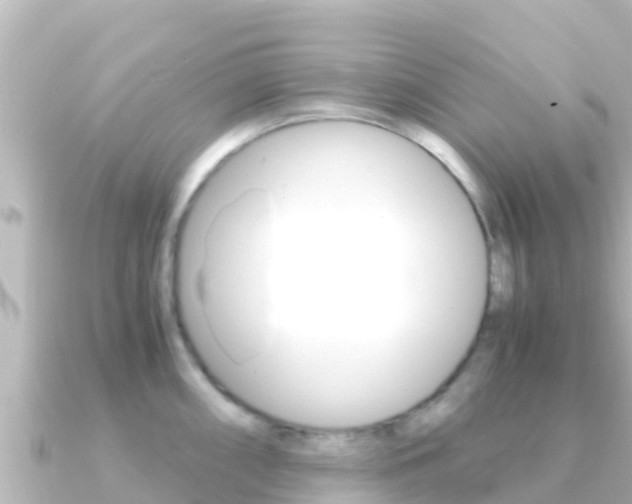 X0000091241098200708091126