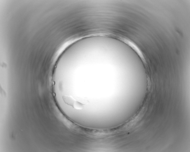 X0000091241099200708091126