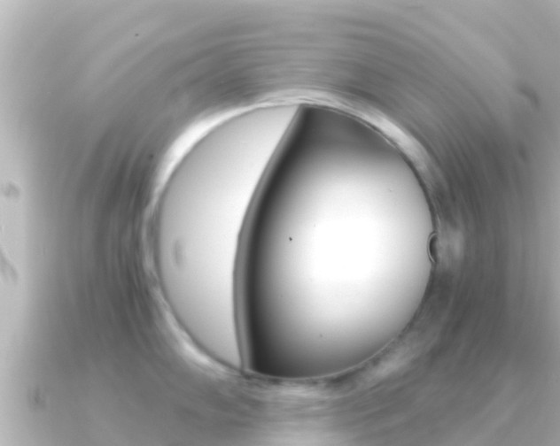 X0000091241102200708091126