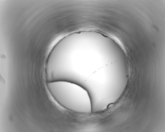X0000091241103200708091126