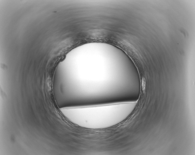 X0000091241107200708091126