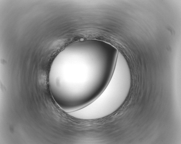 X0000091241108200708091126