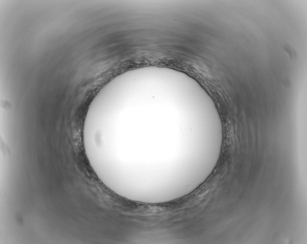 X0000091241109200708091126