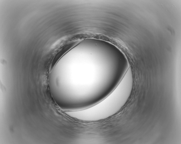 X0000091241110200708091126