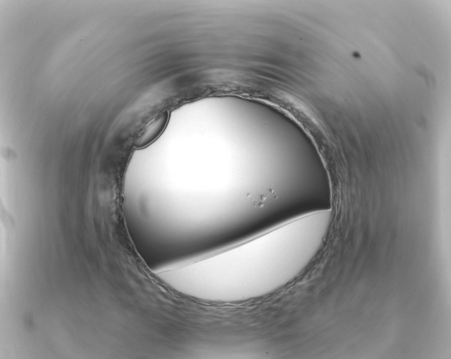 X0000091241111200708091126