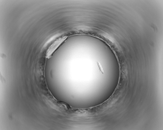 X0000091241112200708091126