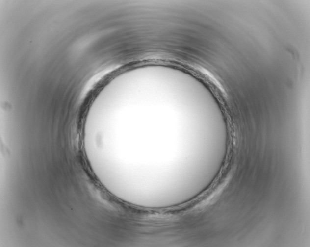 X0000091241117200708091126