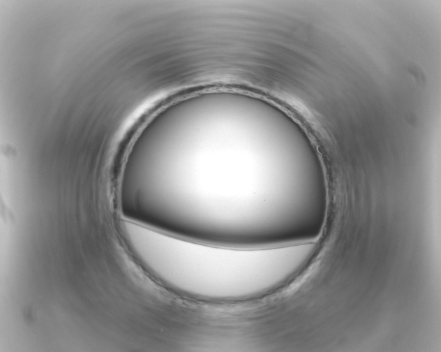 X0000091241118200708091126