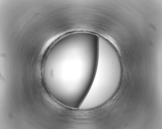 X0000091241120200708091126