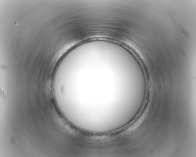 X0000091241121200708091126