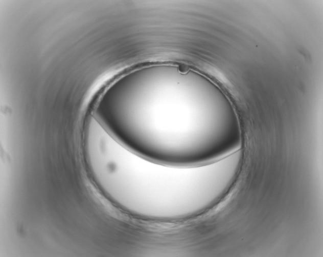 X0000091241122200708091126