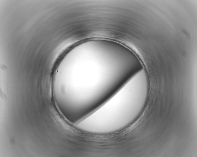 X0000091241123200708091126