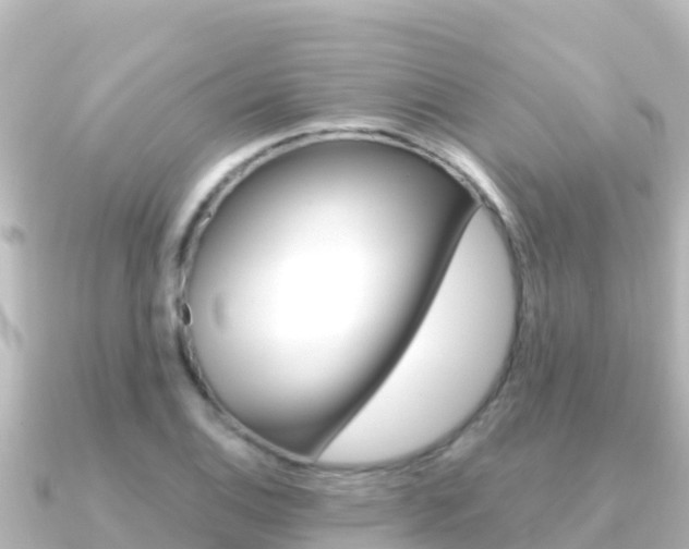 X0000091241124200708091126