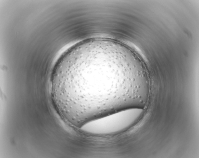 X0000091241125200708091126
