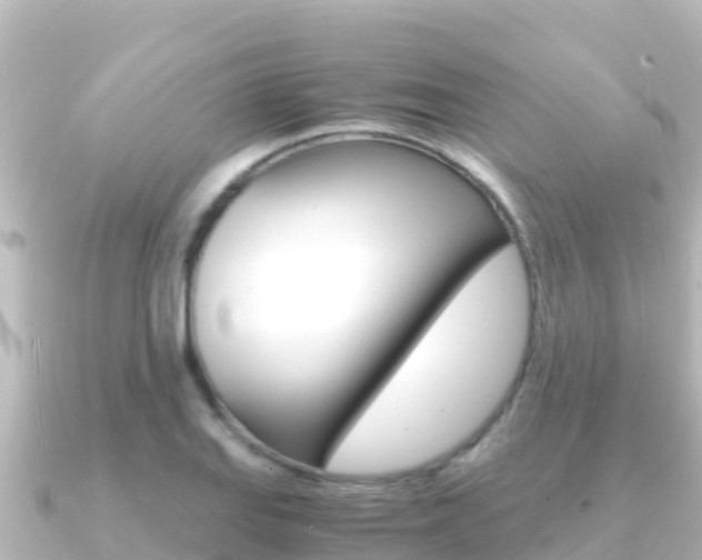 X0000091241127200708091126